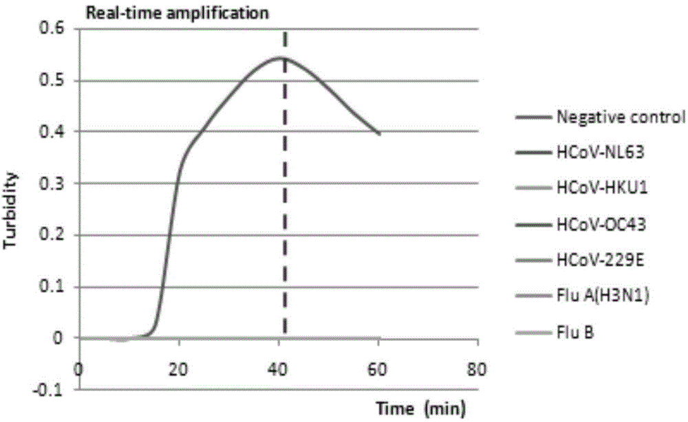 Special primer capable of quickly detecting human coronavirus NL63 as well as kit and application method thereof