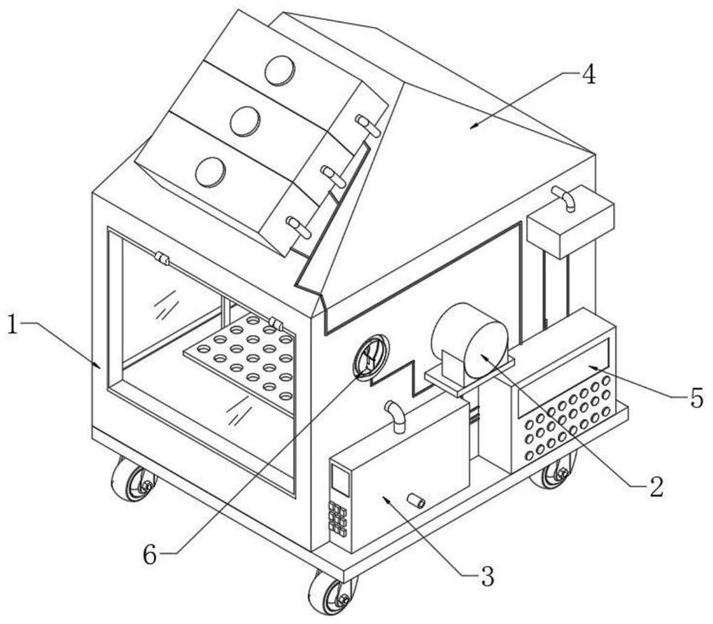 Populus euphratica seedling cultivation method and device and preparation equipment