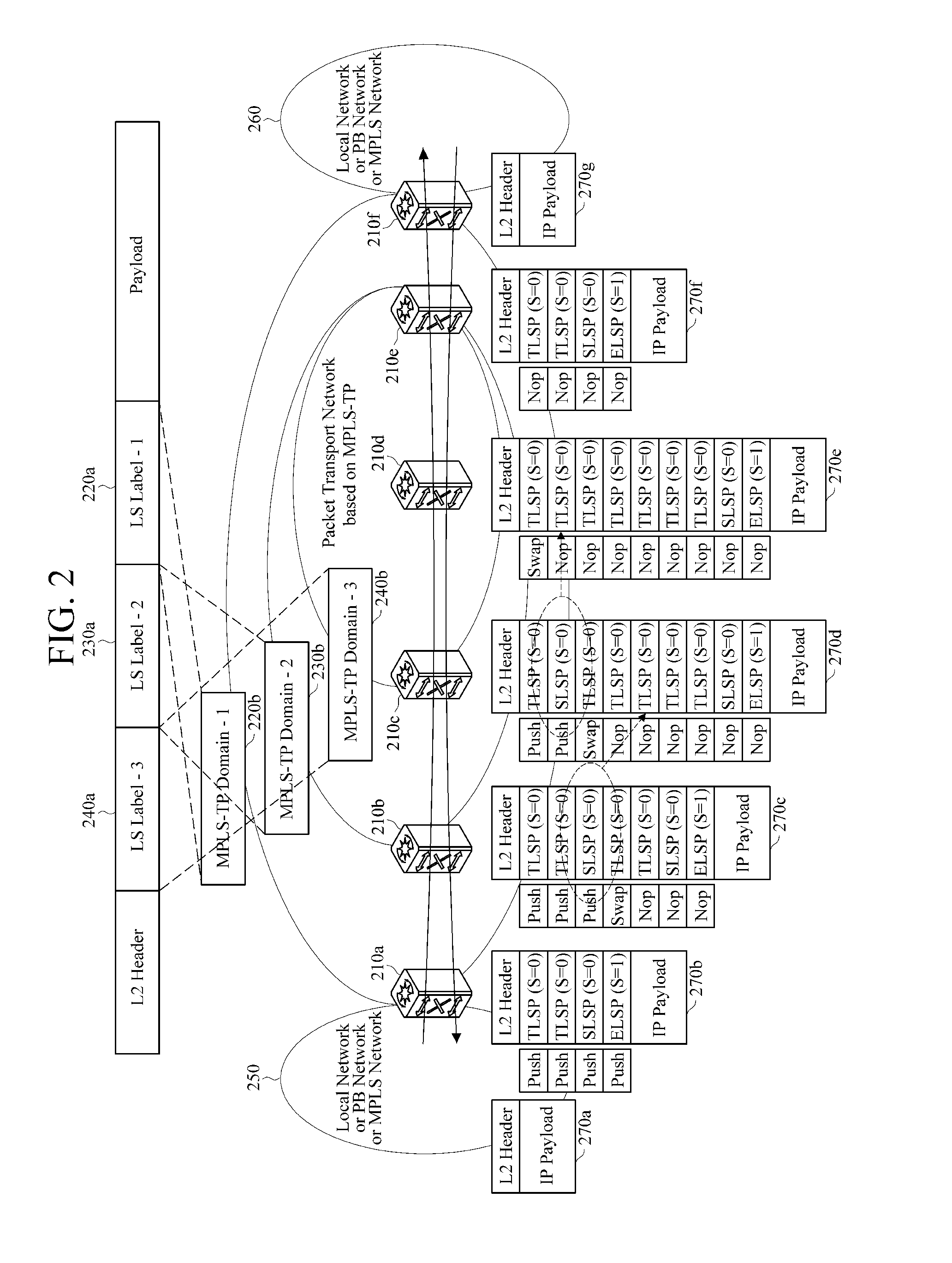Apparatus and method for processing packet in mpls-tp network