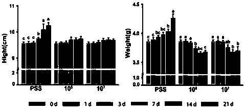 Evaluation system and method for stress responses of sea horses