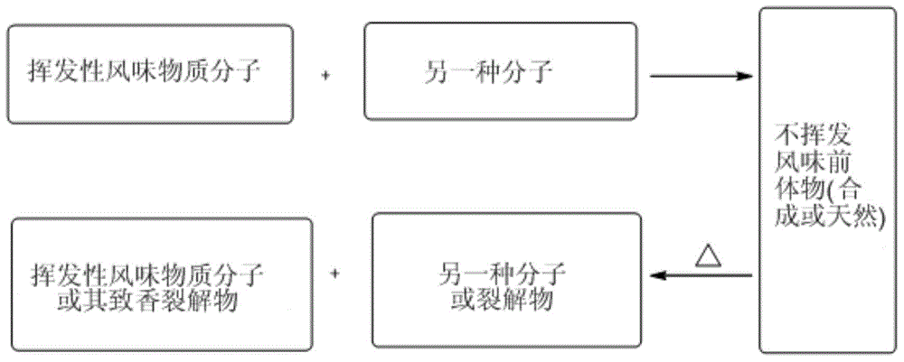 Ambergris lactone based precursor-aroma compound as well as preparation method and application thereof