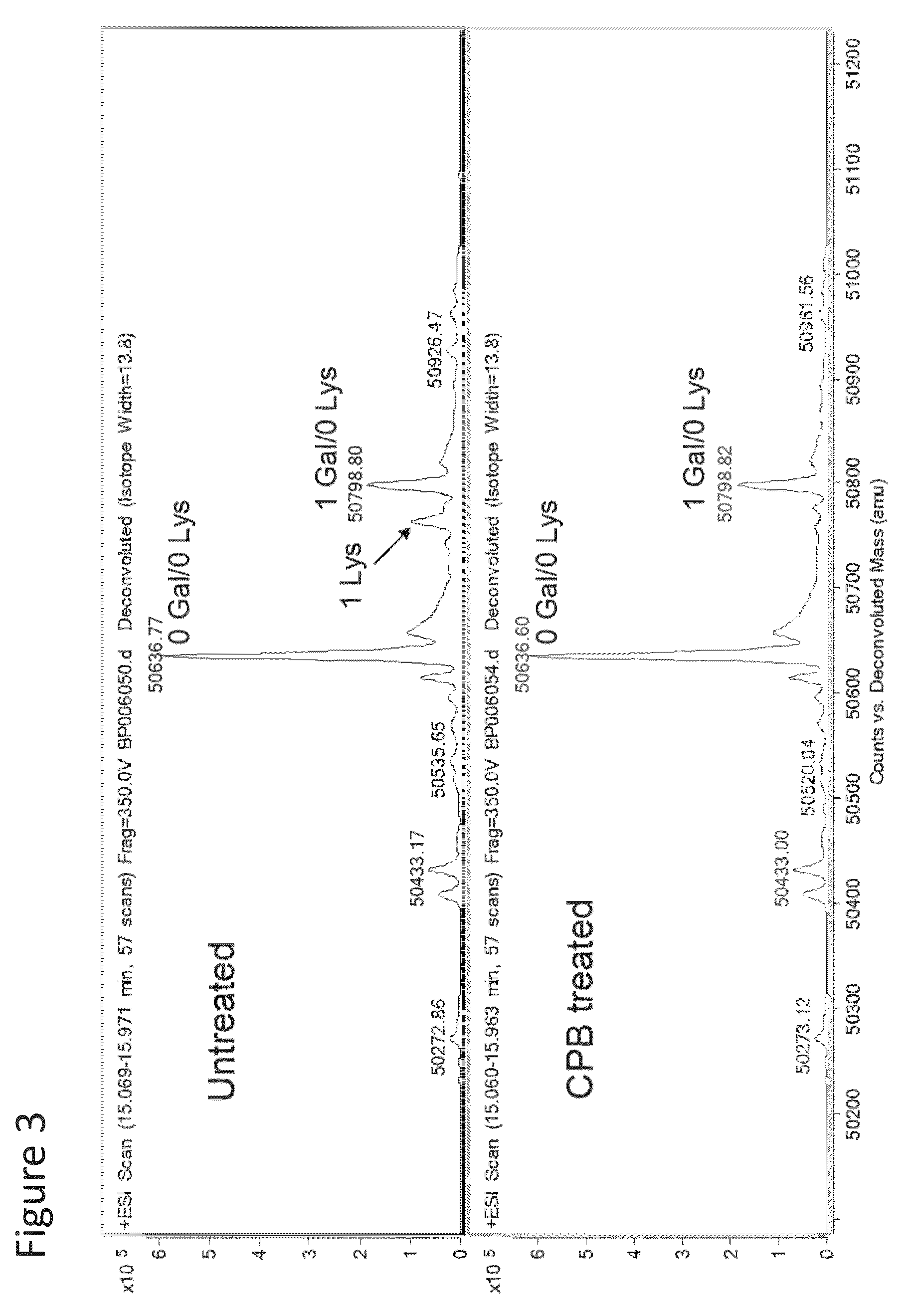 Mutated anti-TNFα antibodies and methods of their use