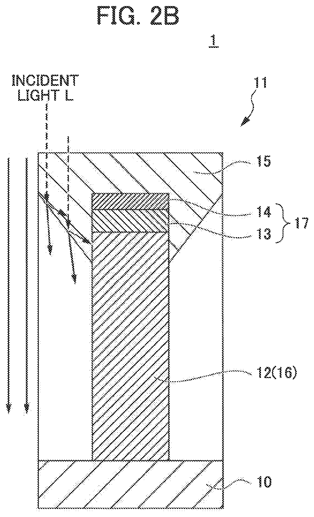 Polarizing plate and optical apparatus provided with the same