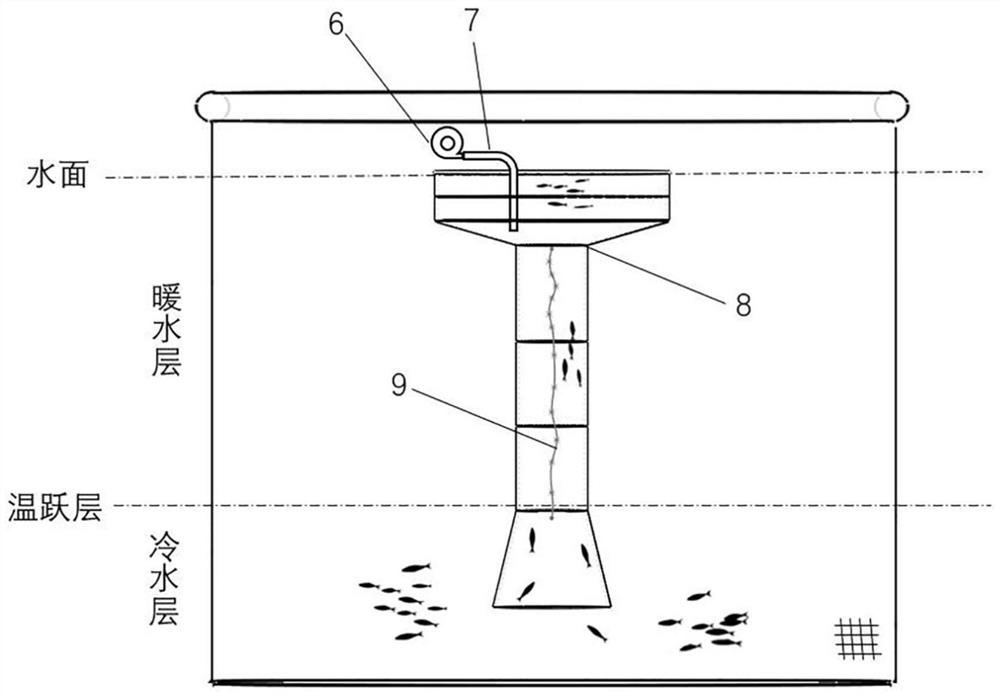 Device and method for catching cold water fish in large aquaculture net cage in summer