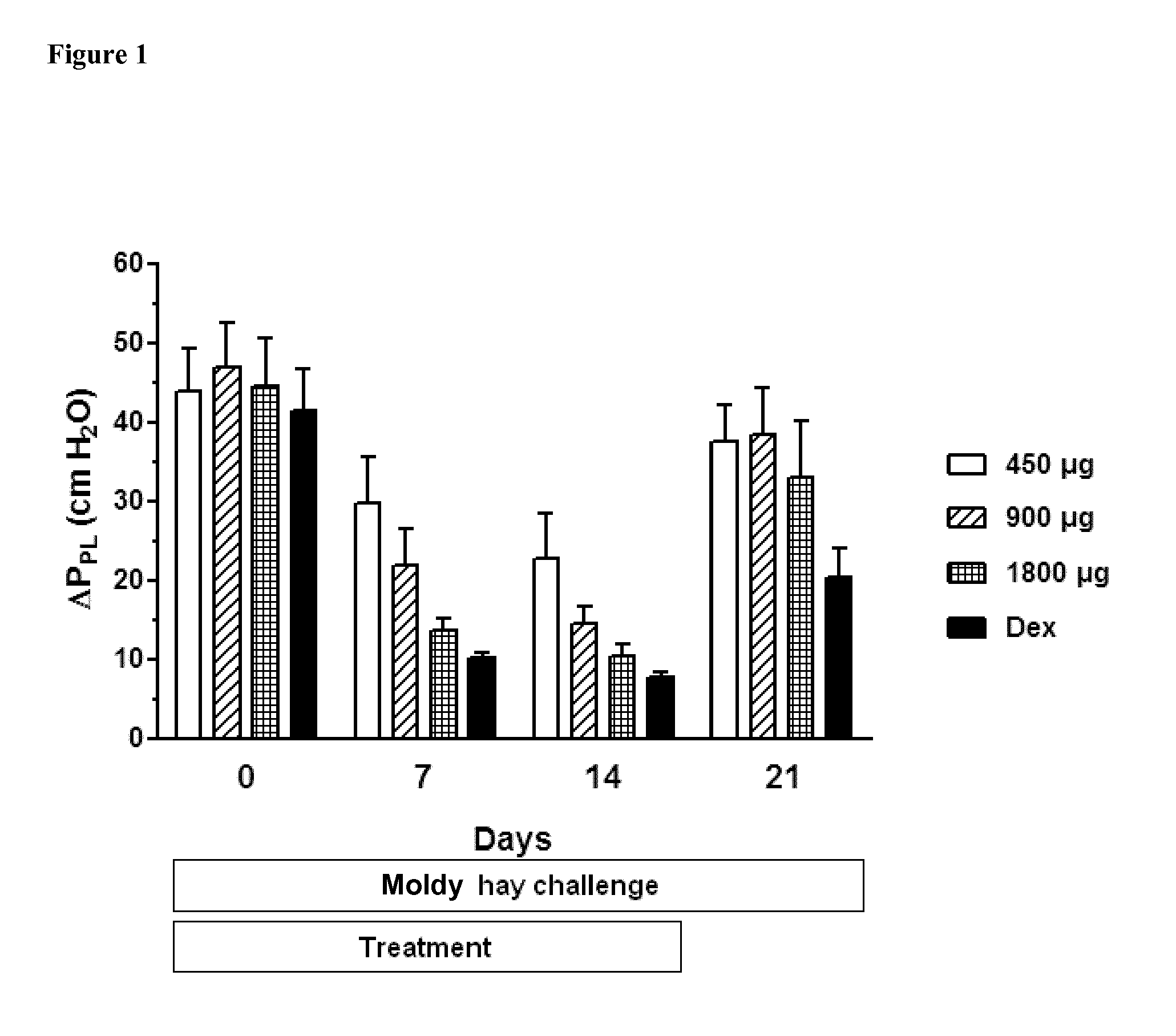 Ciclesonide for the treatment of airway disease in horses