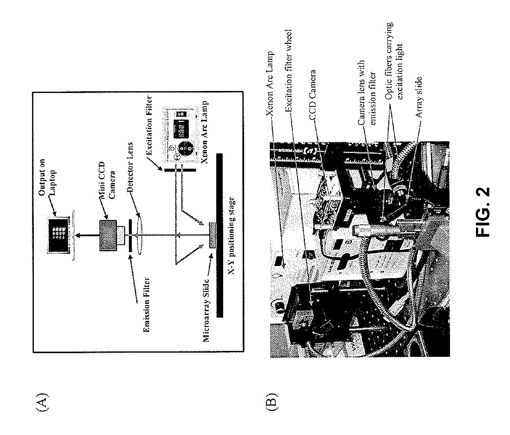 Device, Array, And Methods For Disease Detection And Analysis