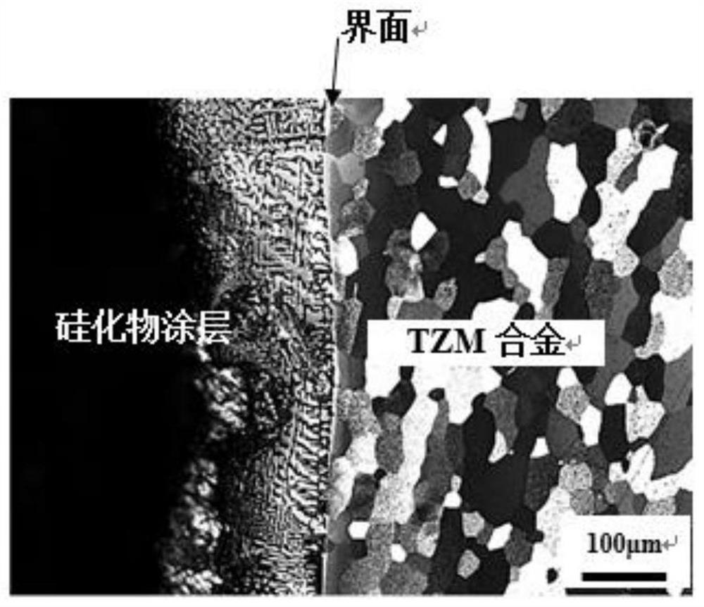 A kind of preparation method of silicide coating on the surface of tzm alloy sheet
