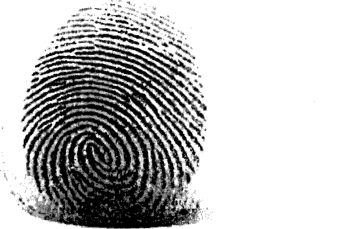 Fingerprint recognition method and fingerprint recognition system
