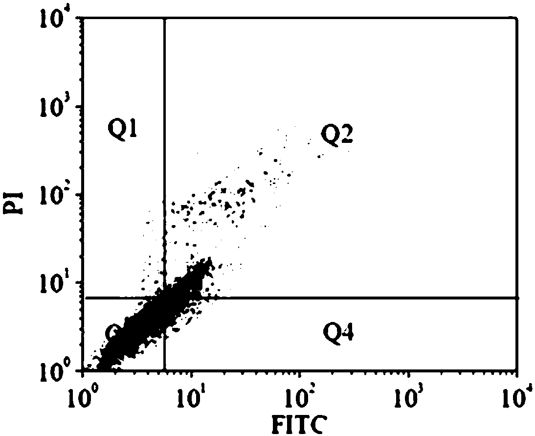 Method for promoting hepatoma carcinoma cell apoptosis and inhibiting hepatoma carcinoma cell proliferation