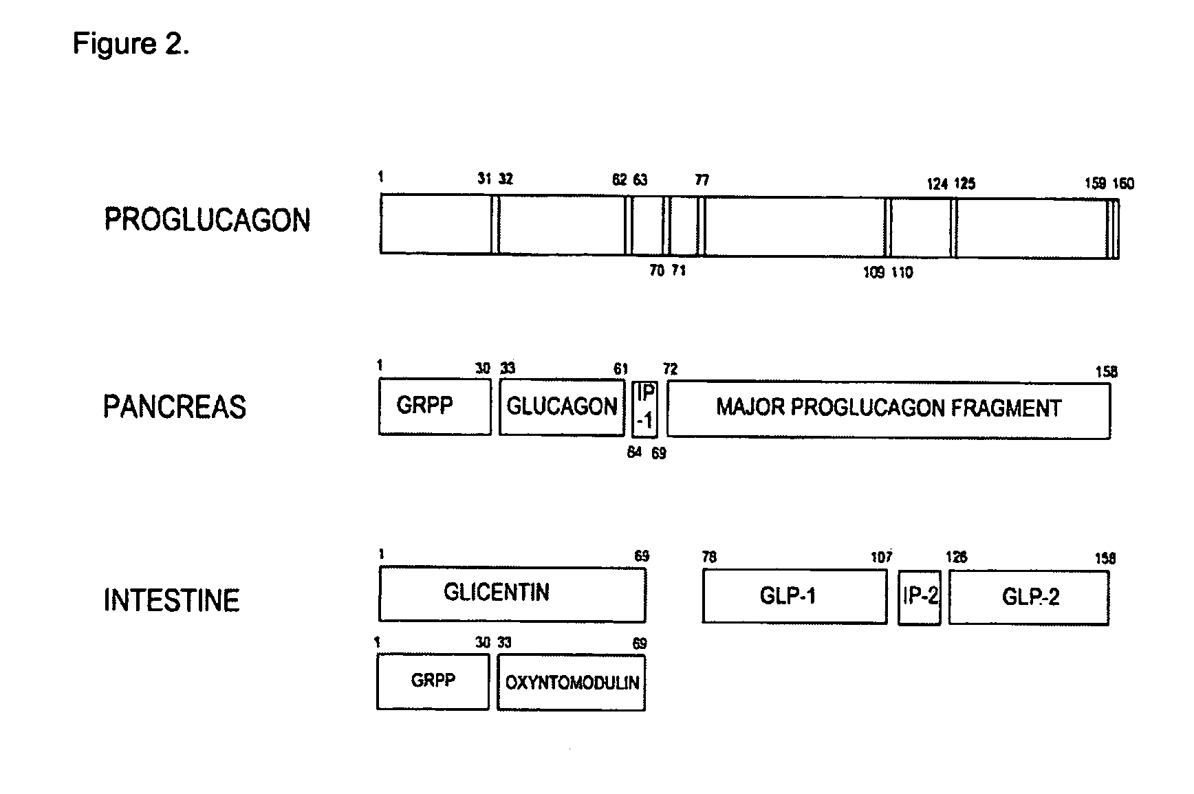 GLP-2 compounds, formulations, and uses thereof
