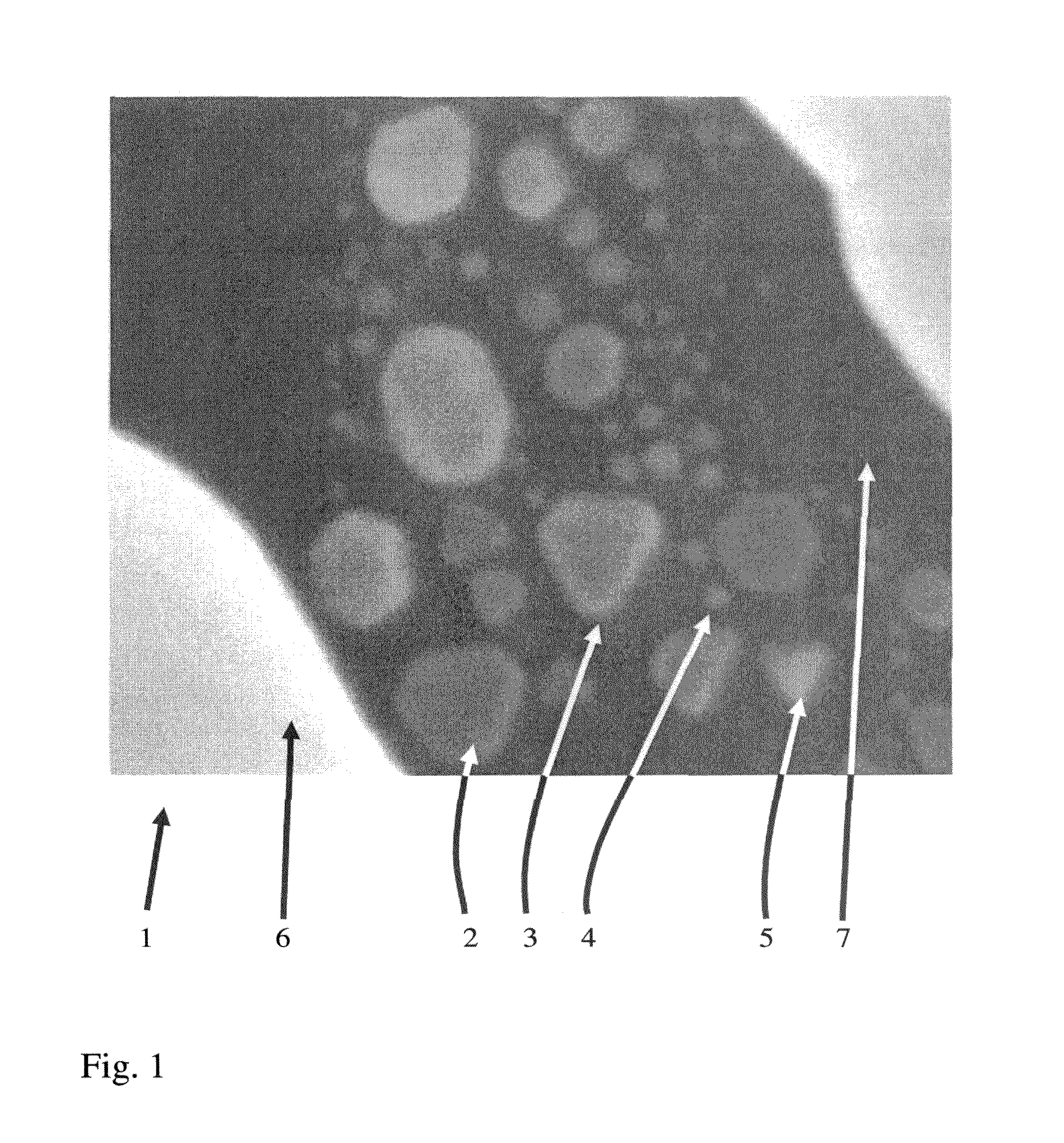 Method for processing a digital gray value image