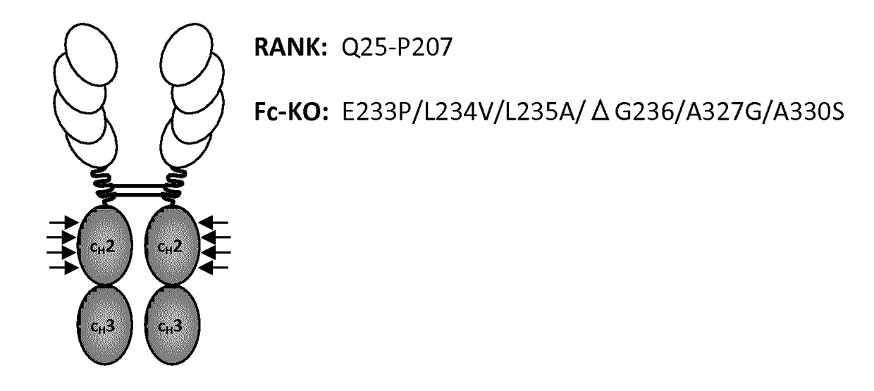 Rankl-specific agent for treating metastatic disease