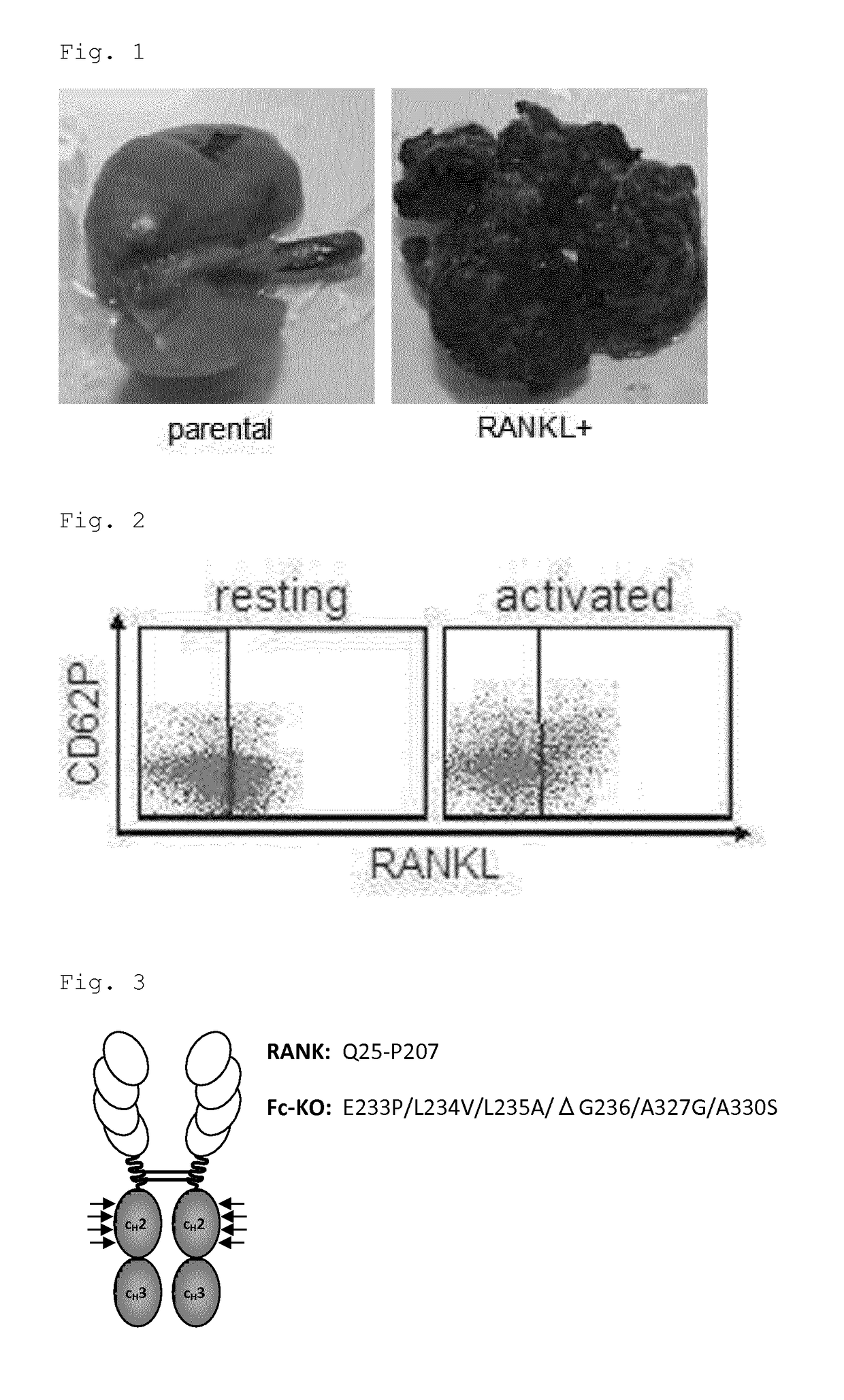 Rankl-specific agent for treating metastatic disease