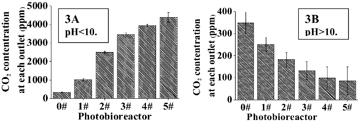 Method for absorbing and fixing carbon dioxide by using spirulina