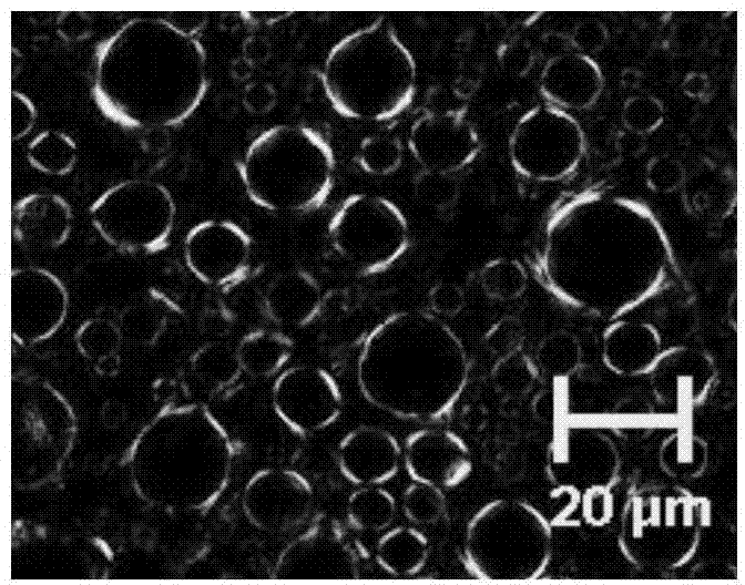 Emulsion composition used for water resistant liquid crystal cosmetics and application thereof