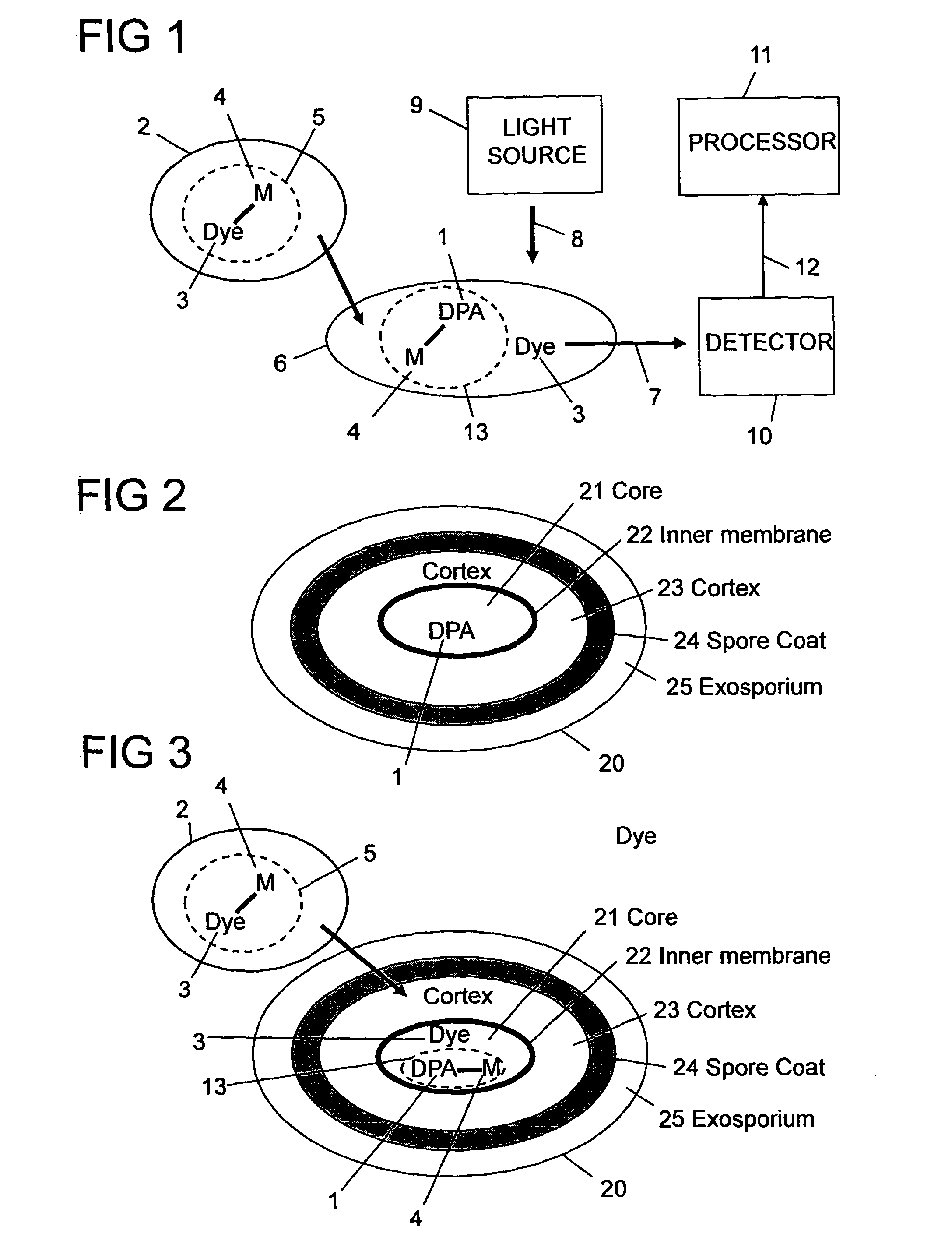Method, reagent, and apparatus for detecting a chemical chelator