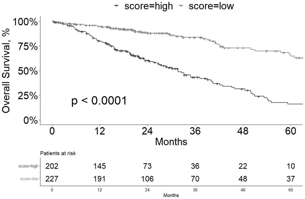 miRNA kit for detecting prognosis of lung adenocarcinoma