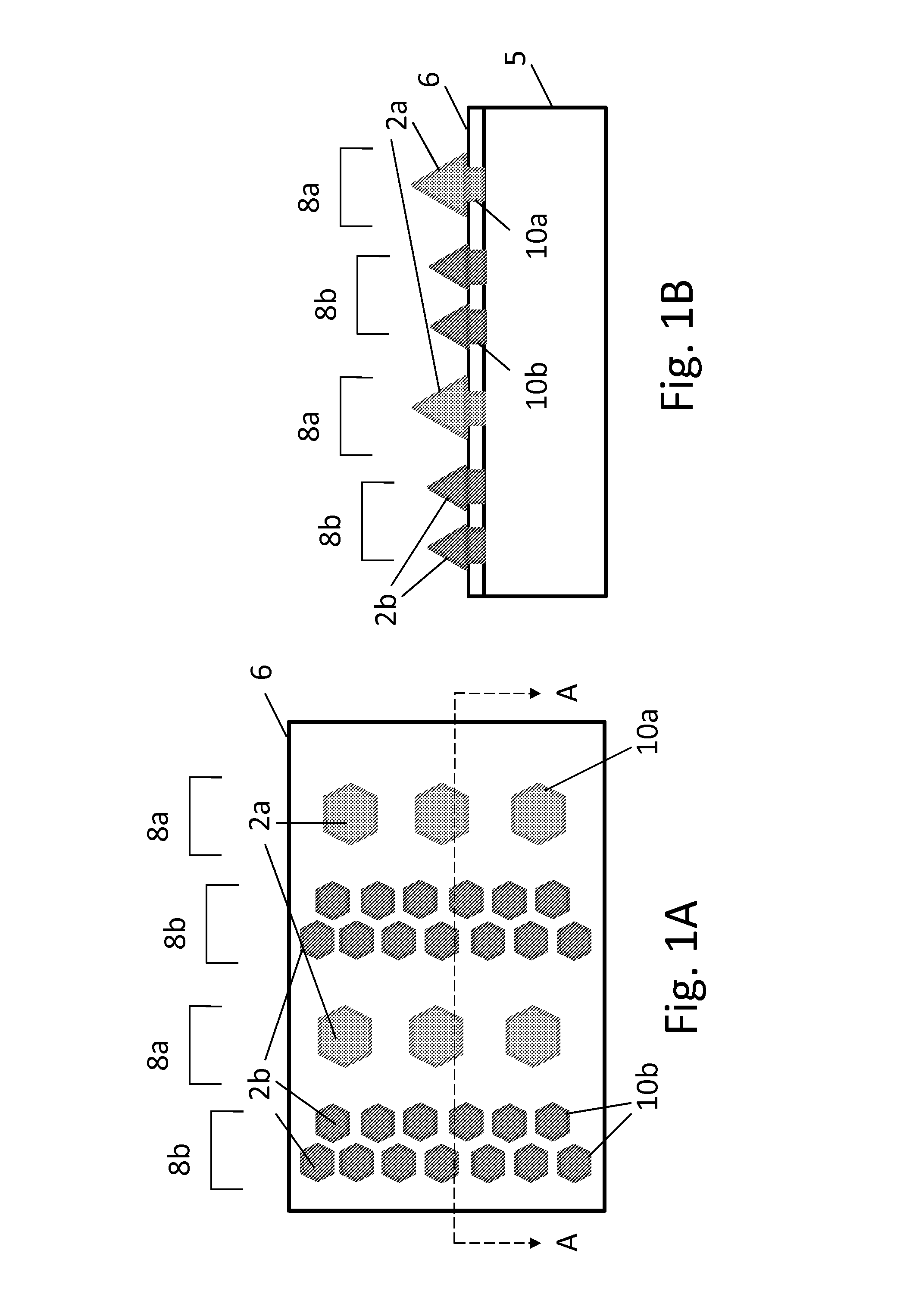 Multicolor LED and Method of Fabricating Thereof