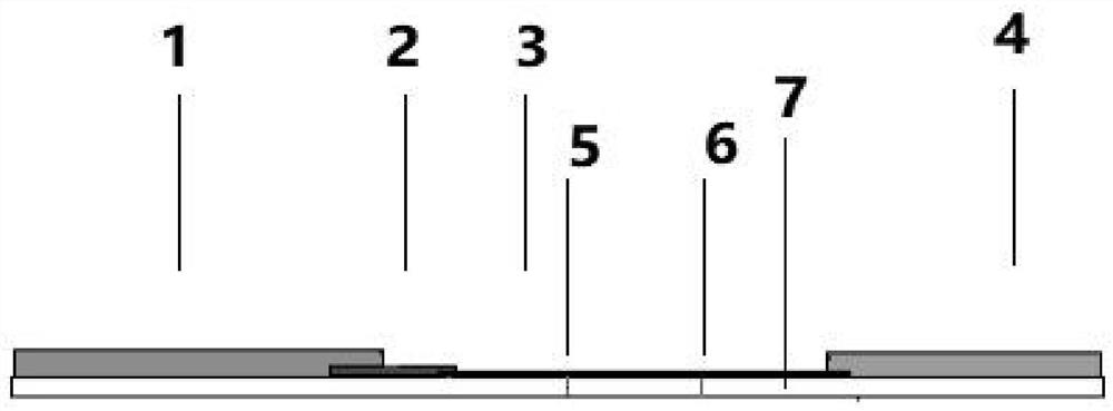 African swine fever virus antibody rapid detection test strip and its preparation method and application