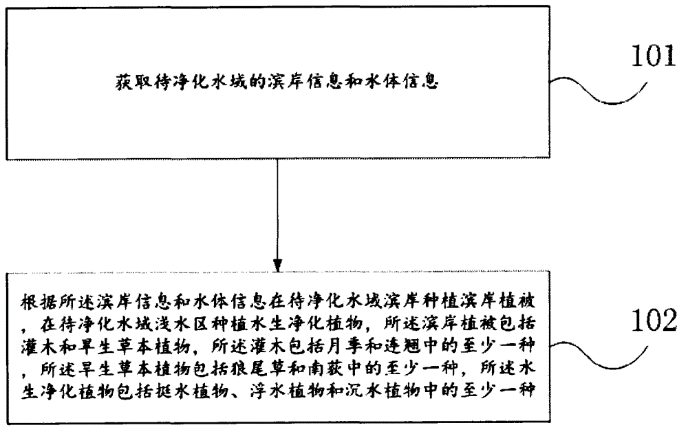 Method for purifying water body by utilizing aquatic plants and riparian vegetation