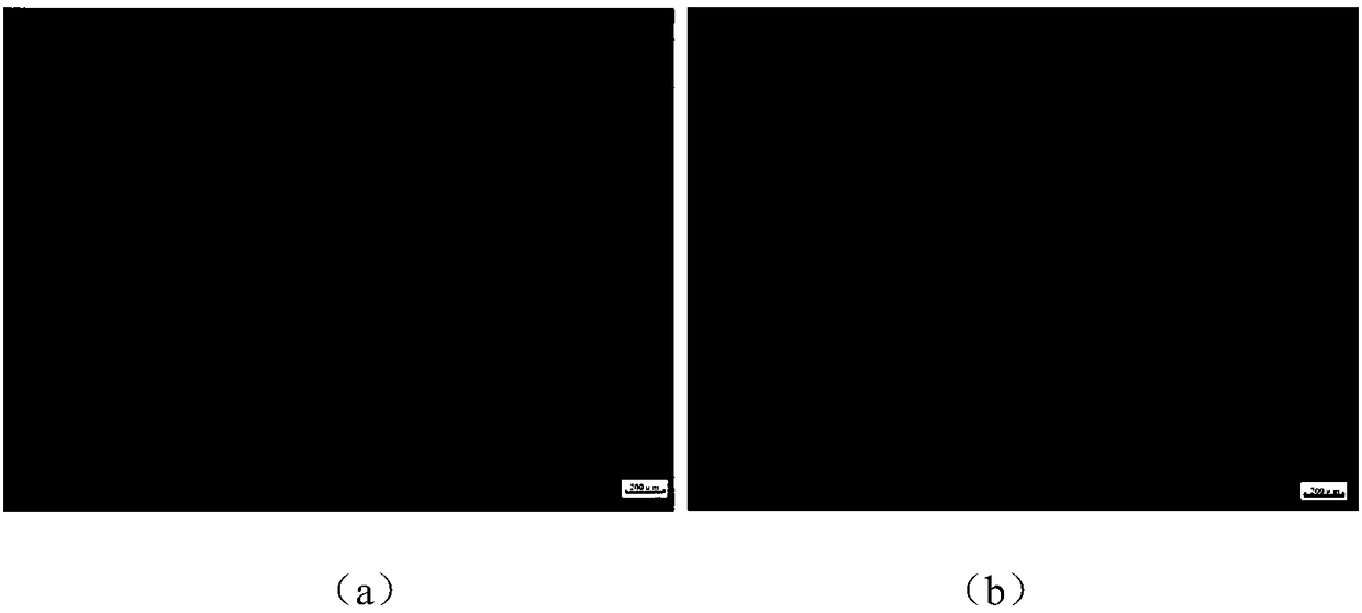 Method for manufacturing aluminum magnesium alloy structural parts through hammering reinforced arc added materials