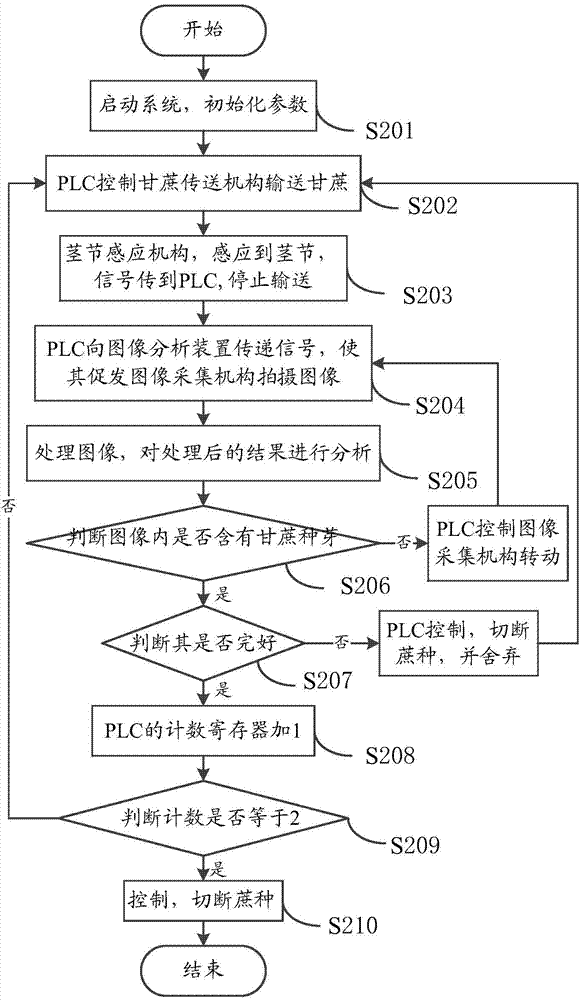Sugarcane seedling integrity detection system and method