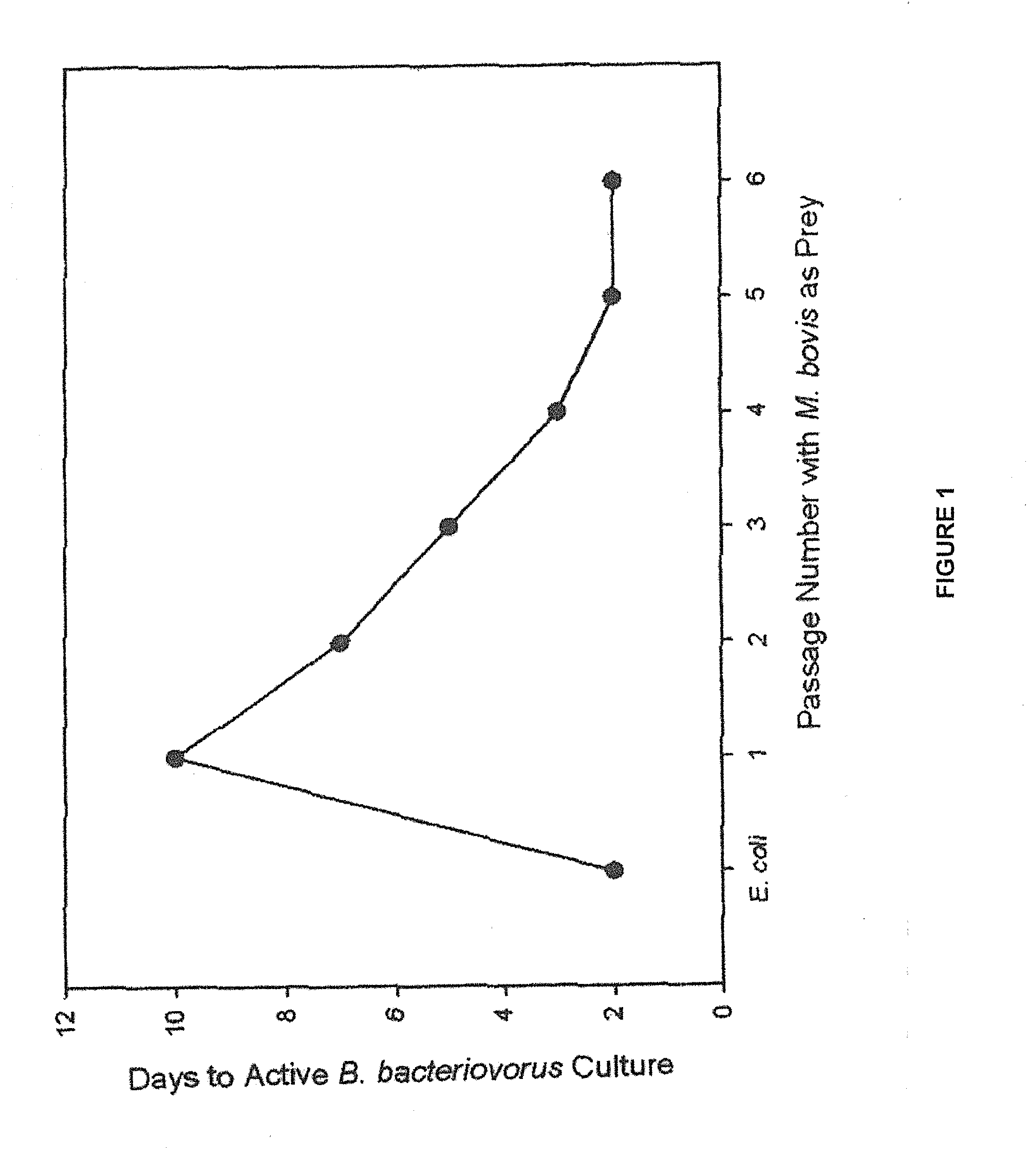 Non-chemotherapeutic antibiotic treatment for infections in cattle