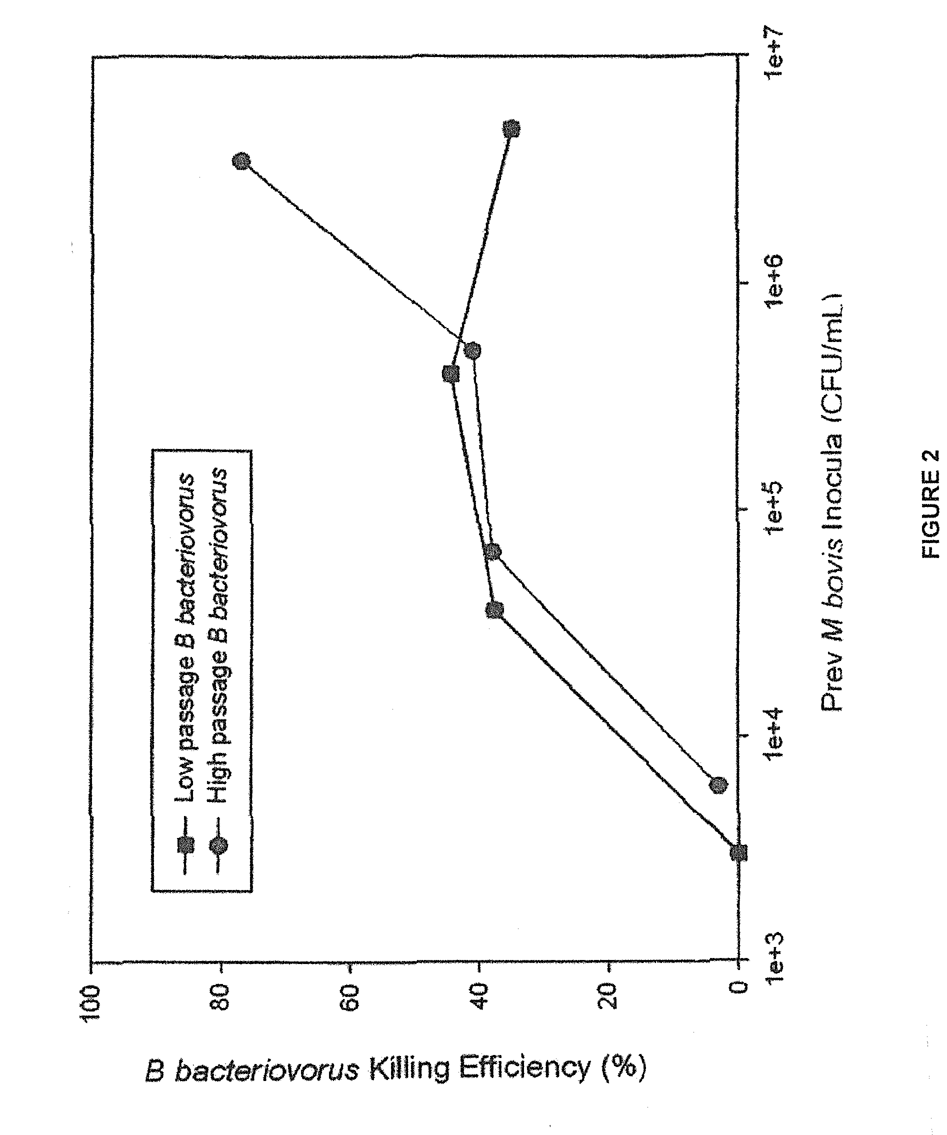 Non-chemotherapeutic antibiotic treatment for infections in cattle