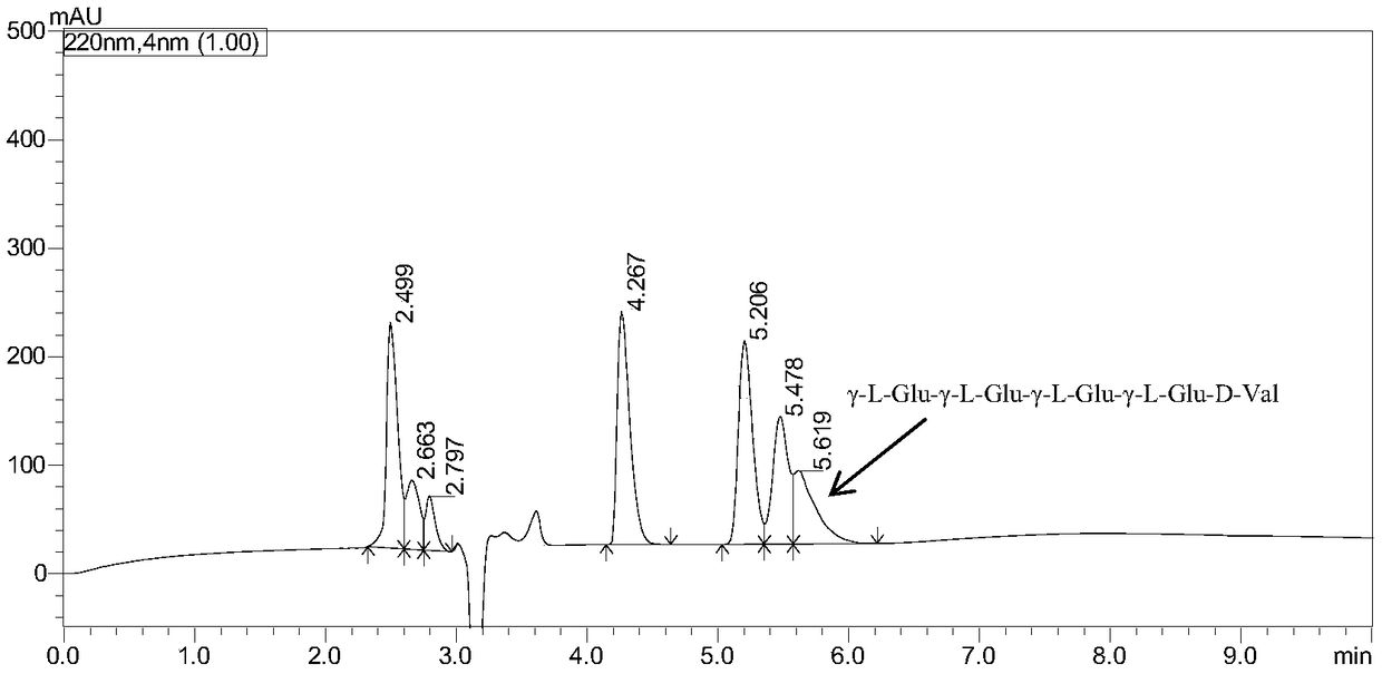 Sweet taste peptide as well as preparation method and application thereof