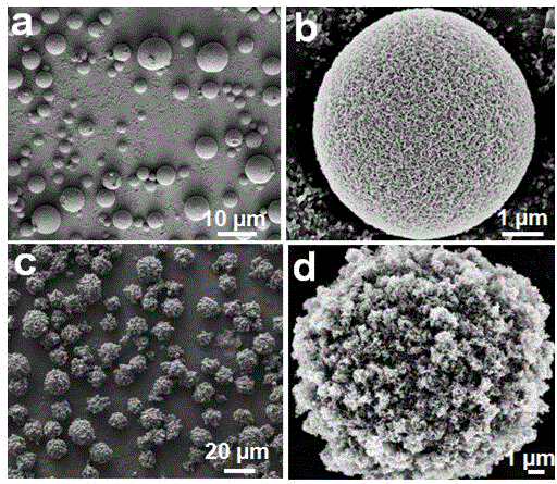 Cellulose/polyaniline nano-porous composite microspheres as well as preparation method and application thereof