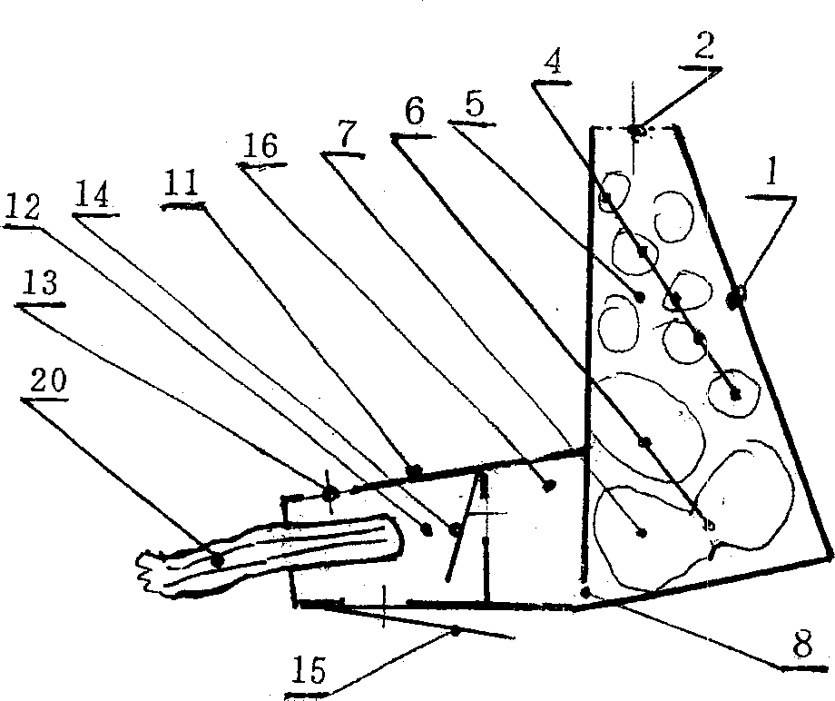 Nasal-rest type caller