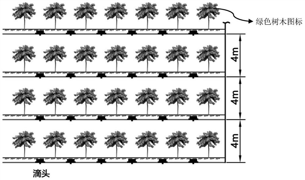 Water and fertilizer integrated special fertilizer for young catalpa bungei forest and fertilizing method