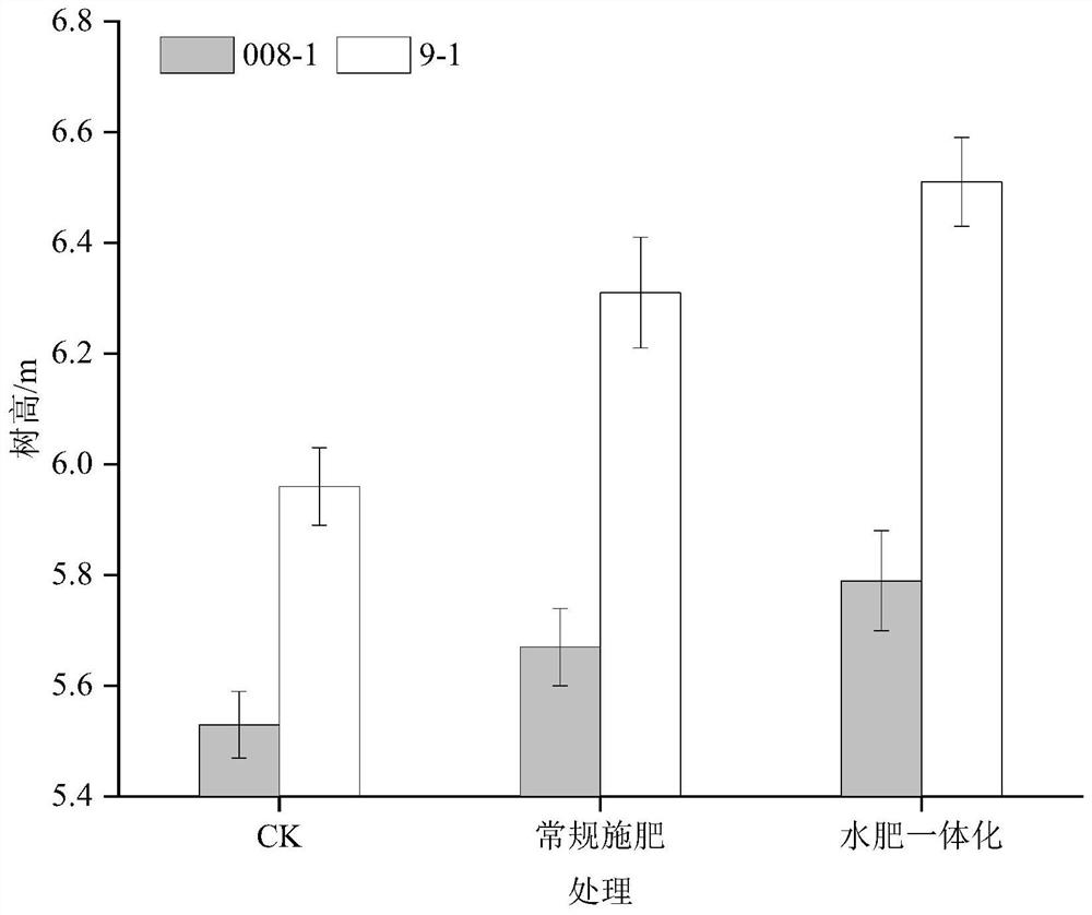 Water and fertilizer integrated special fertilizer for young catalpa bungei forest and fertilizing method