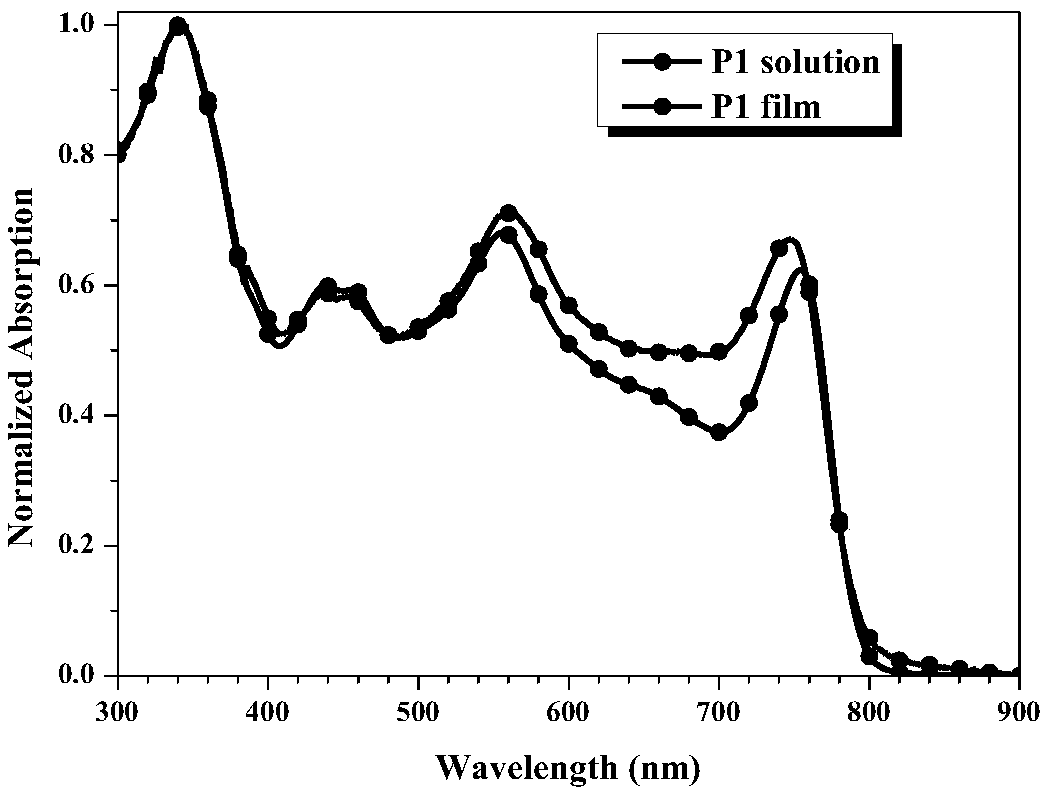 Perylene bisimide polymer as well as preparation method and application thereof
