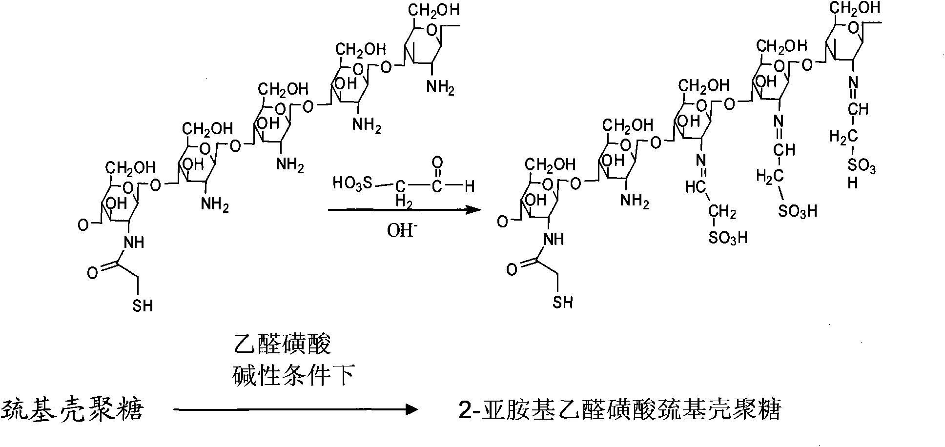 Sulfonation modification process of thio chitosan
