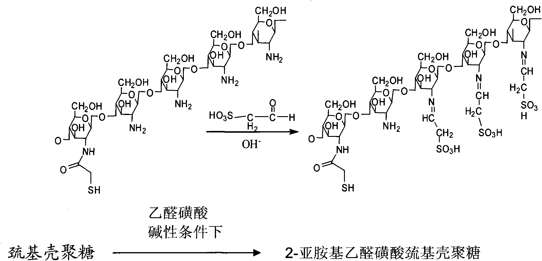 Sulfonation modification process of thio chitosan