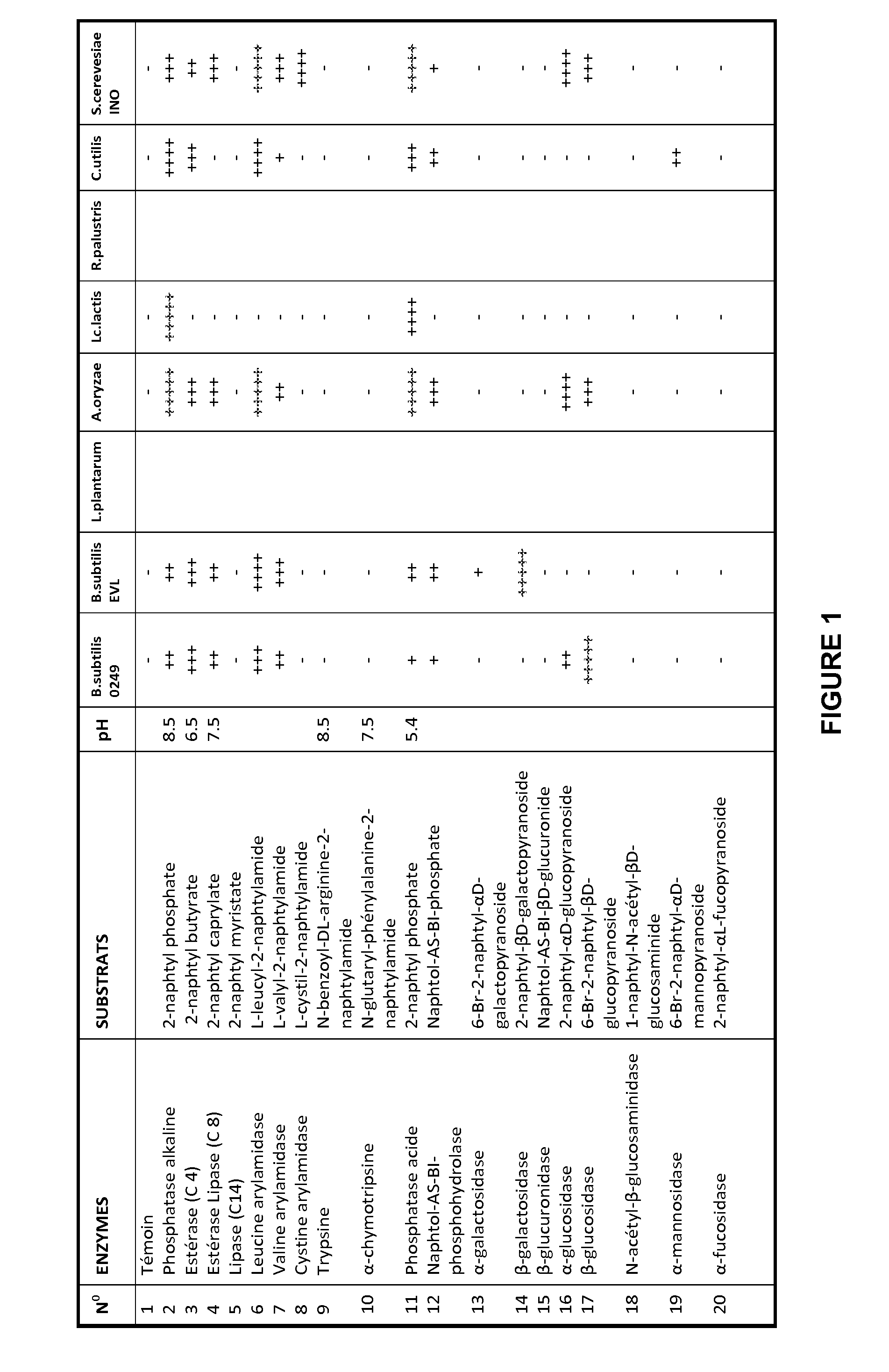Microbial Compositions and Methods