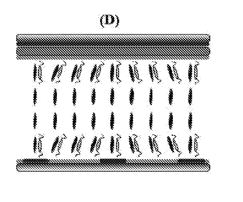 Liquid crystal display and method for preparation thereof