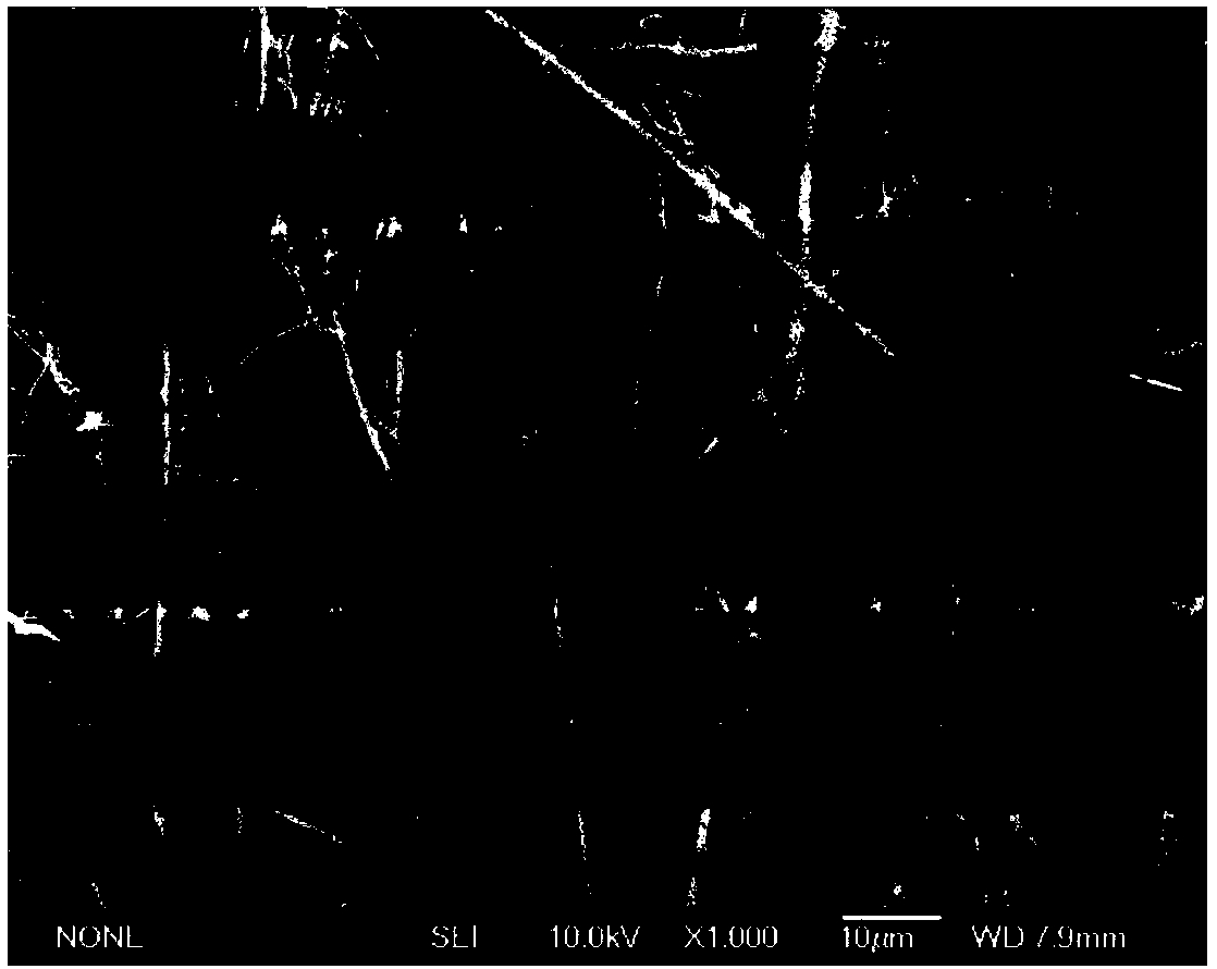 A kind of preparation method of foamed boron nitride bulk material