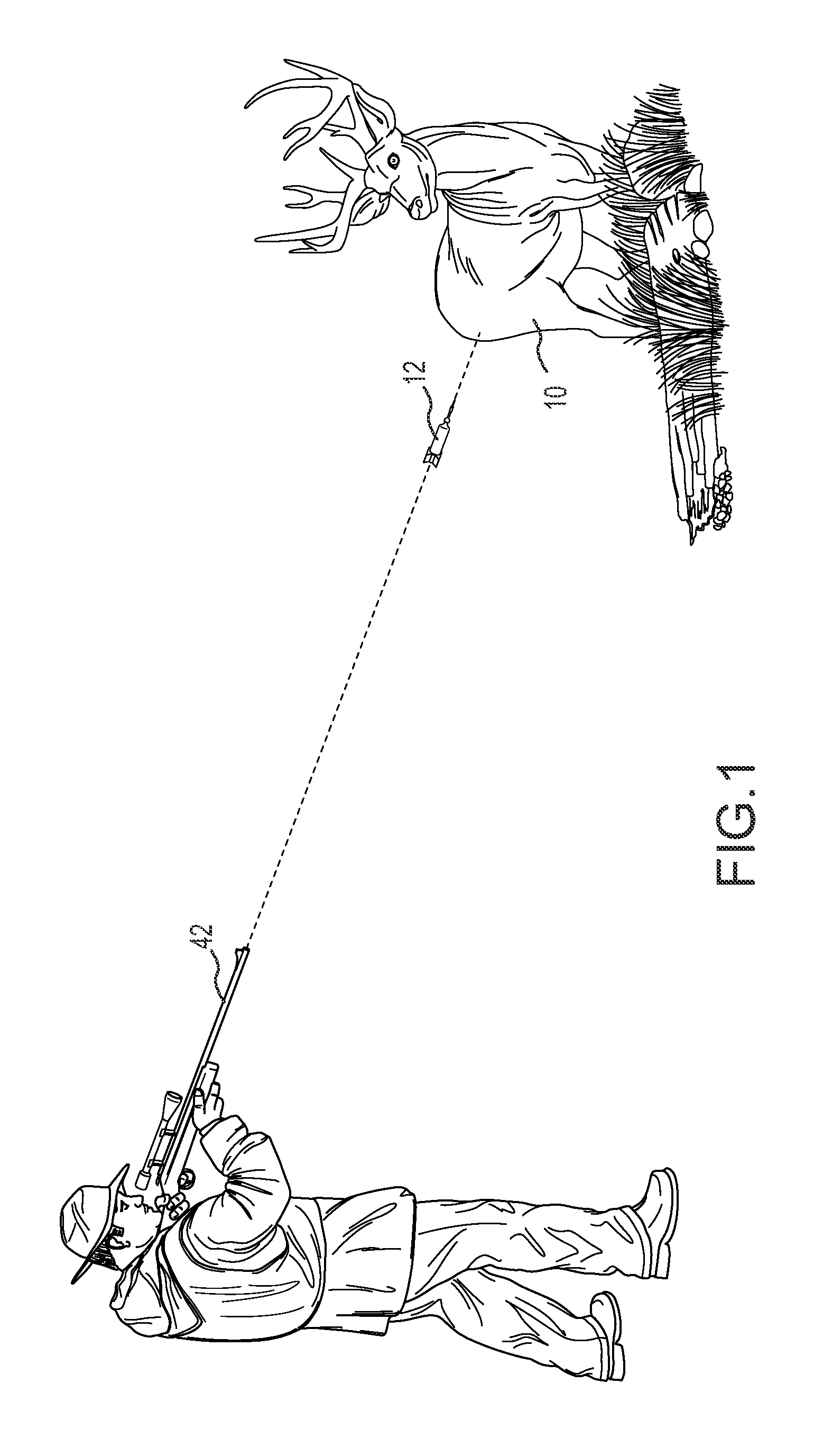 Pharmaceutical combination for and method of anesthetizing and immobilizing non-domesticated mammals