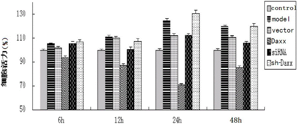 Application of death domain-associated protein in preparation of medicament for preventing and treating diseases related to vascular smooth muscle cell proliferation and/or vascular smooth muscle cell migration