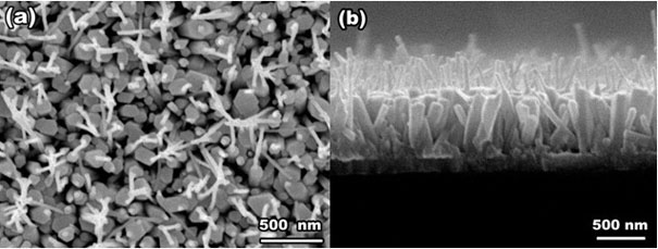 Preparation method of injector-shaped ZnO nanostructural array for field emission