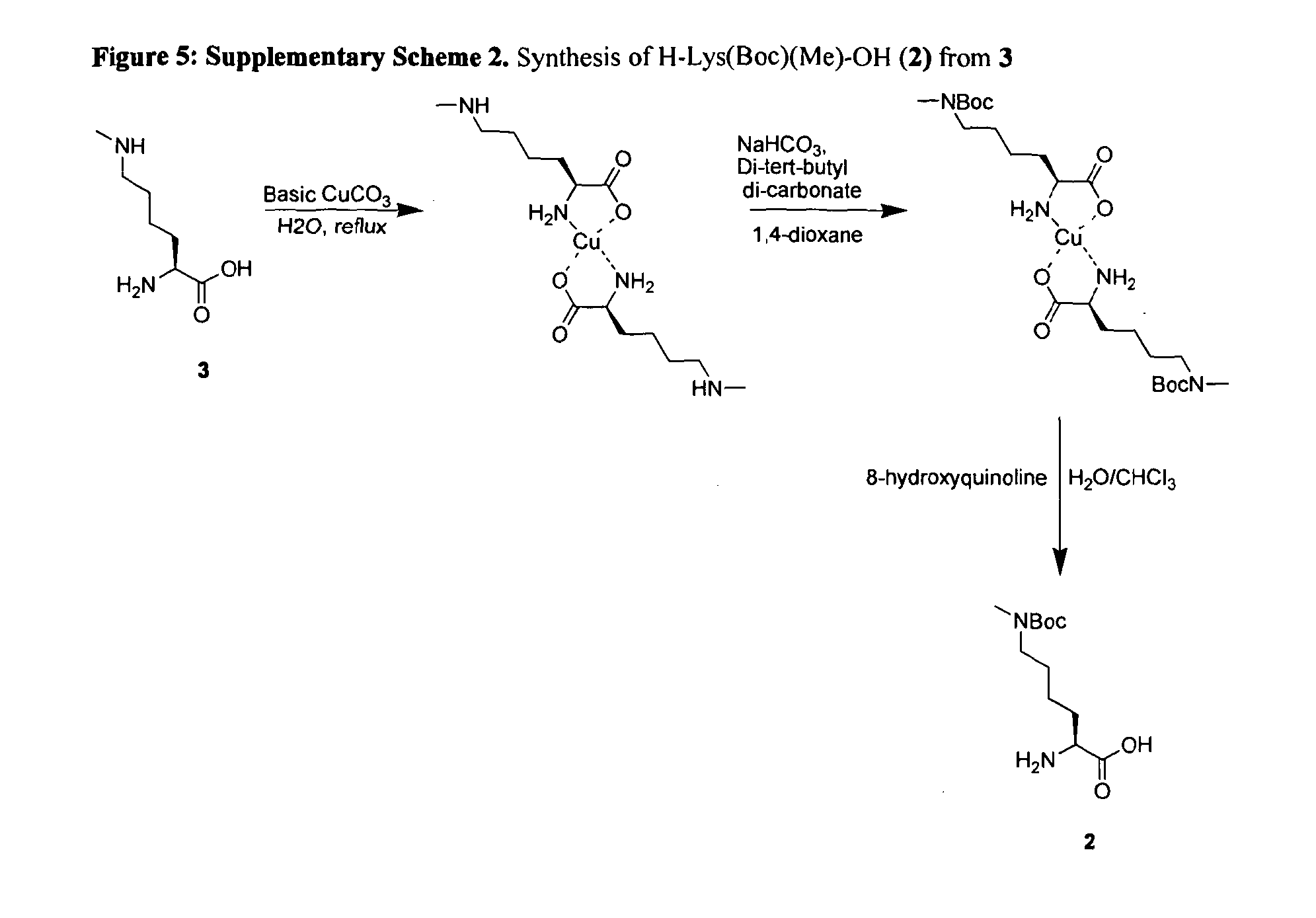 Incorporation of methyl lysine into polypeptides