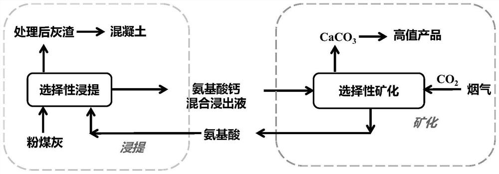 Method for preparing high-purity calcium carbonate from high-calcium fly ash by using recyclable amino acid extracting agent