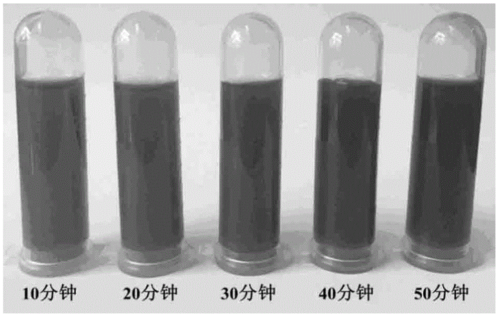 Method for preparing silver nanoparticles with sugarcane extract