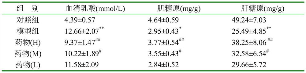 Anti-fatigue traditional Chinese medicine composition and application thereof
