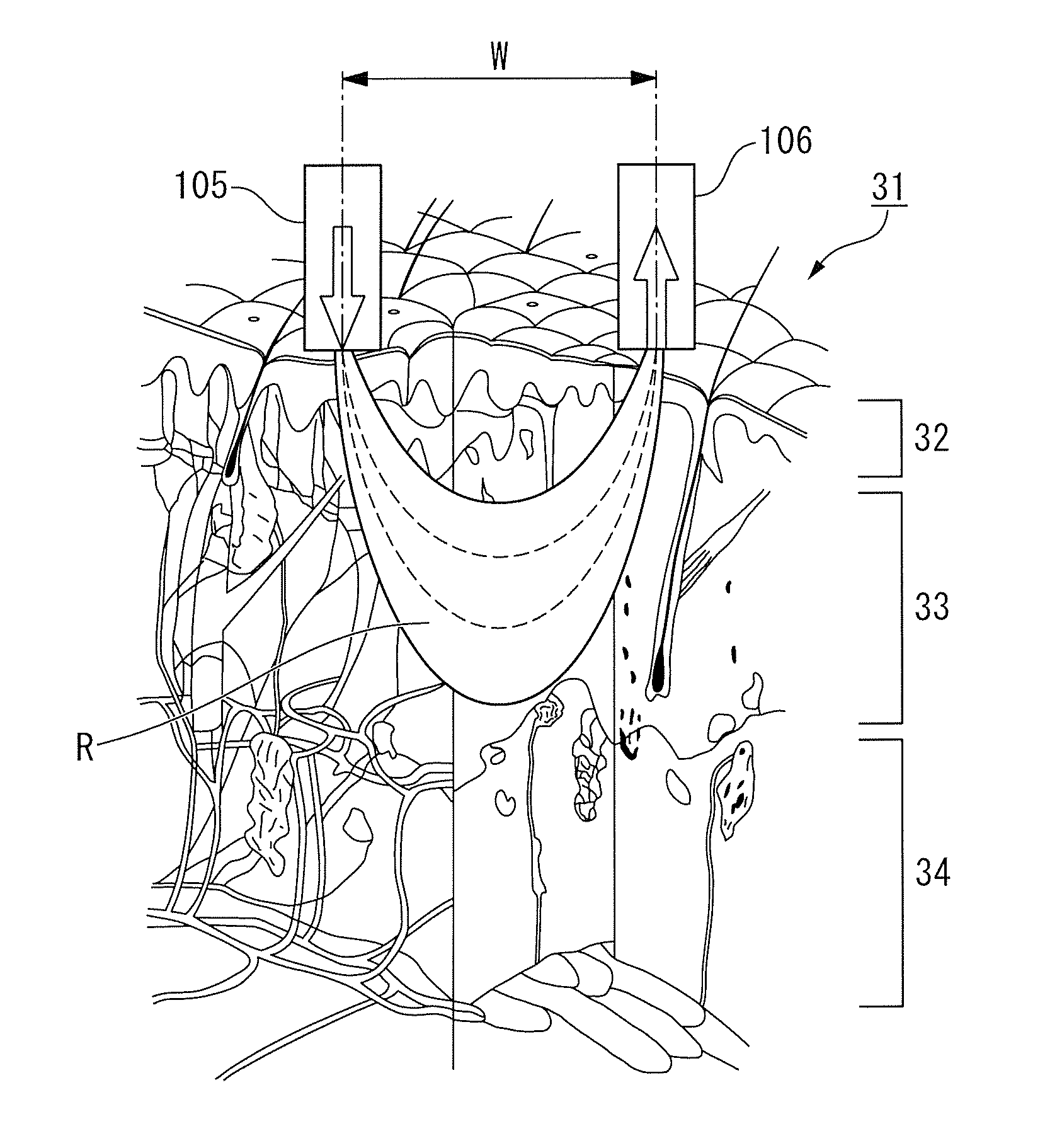 Concentration measurement method and concentration measurement apparatus