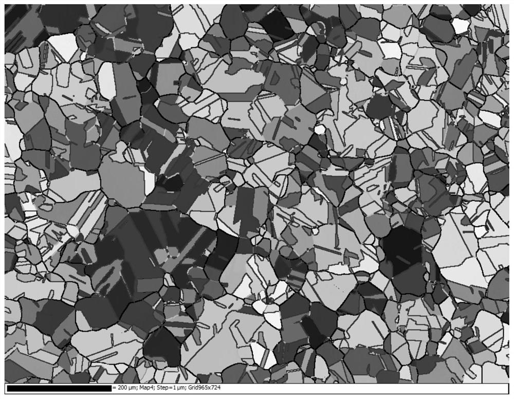 Preparation method of plate special for hydrogen embrittlement-resistant diaphragm of high-pressure hydrogen diaphragm compressor