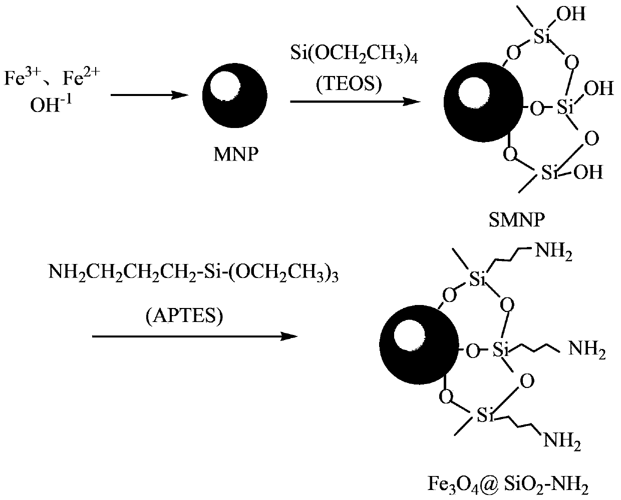 Preparation method of magnetic Fe3O4@SiO2-NH2 nanoparticles