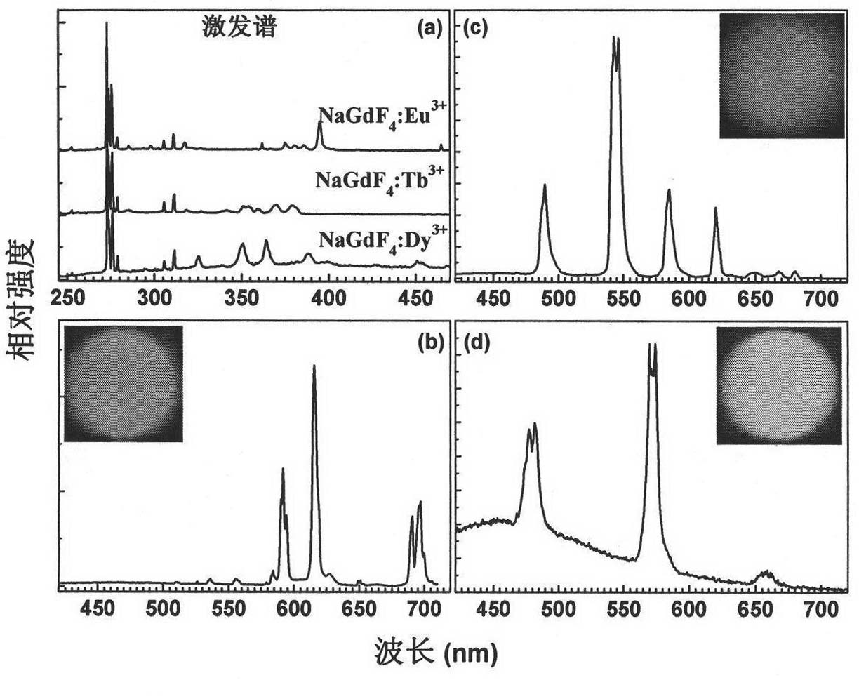 Two-mode nanometer fluorescence labelling material based on rare earth doped sodium gadolinium fluoride core-shell structure and preparation method thereof
